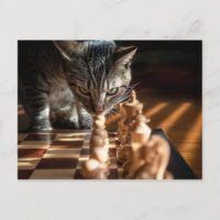 Tabby Cat Playing Schach