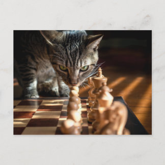 Tabby Cat Playing Schach Postkarte