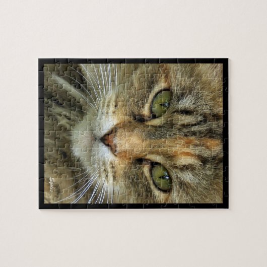 Tabby Cat Portrait Jigsaw Puzzle (Horizontal)