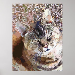 TABBY CAT POSTER