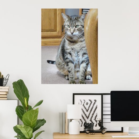 Tabby Cat Poster (Heimbüro)