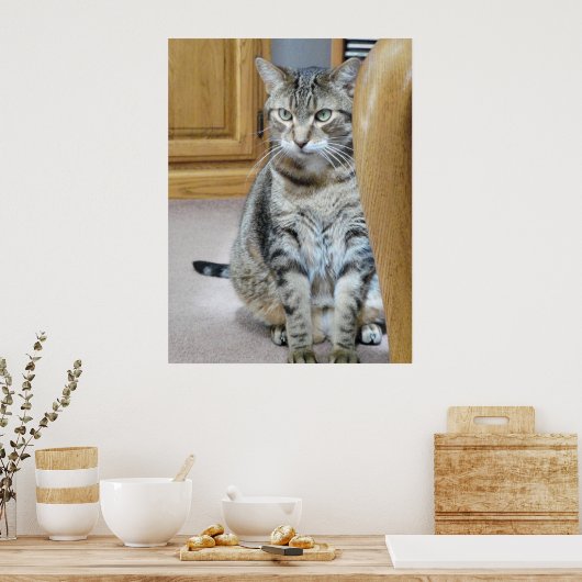 Tabby Cat Poster (Küche)
