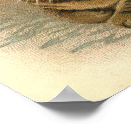 "Tabby Cat" Poster (Ecke)