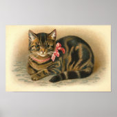 "Tabby Cat" Poster (Vorne)