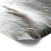 Tabby Cat Poster (Ecke)