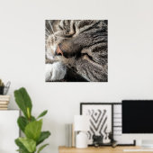 Tabby Cat Poster (Heimbüro)