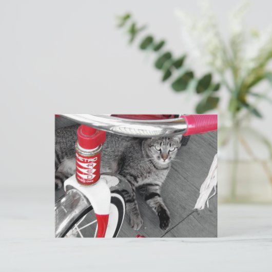 Tabby Cat Postkarte (Stehend Vorderseite)