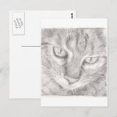 Tabby Cat Postkarte (Vorne/Hinten)
