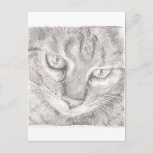 Tabby Cat Postkarte (Vorderseite)