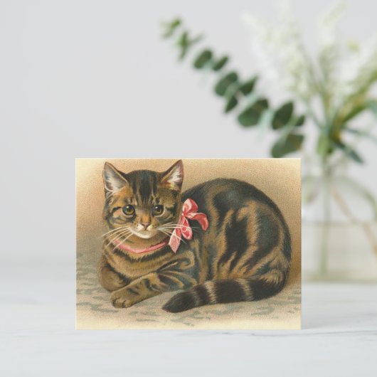 "Tabby Cat" Postkarte (Stehend Vorderseite)