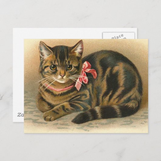 "Tabby Cat" Postkarte (Vorne/Hinten)