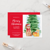 Tabby Cat Preisgünstige Weihnachtskarte Weihnachts Karte (Vorderseite/Rückseite Beispiel)