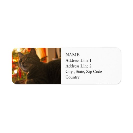 Tabby Cat Purr-fect Holiday Saison (Vorne)