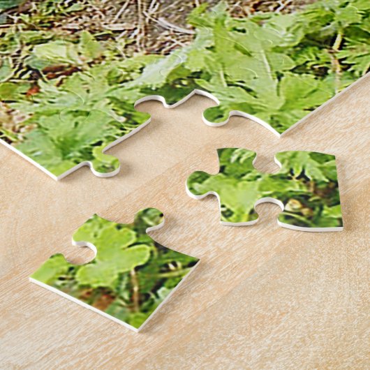 Tabby Cat Puzzle (Seite)