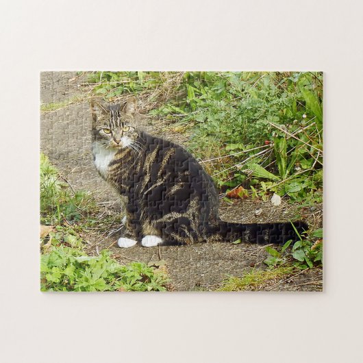 Tabby Cat Puzzle (Horizontal)