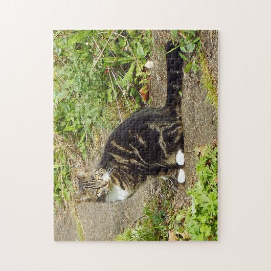 Tabby Cat Puzzle (Vertikal)