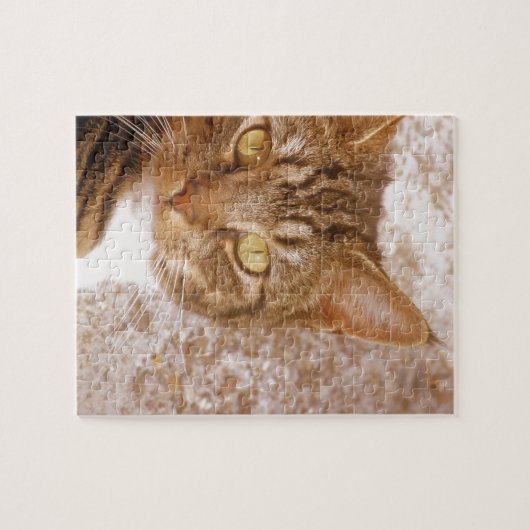 Tabby Cat Puzzle (Horizontal)