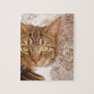 Tabby Cat Puzzle