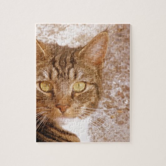 Tabby Cat Puzzle (Vertikal)