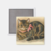"Tabby Cat" Quadrat-Magnet Magnet (Vorderseite/Rückseite)