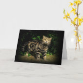 Tabby Cat Quote Card Karte (Gelbe Blume)