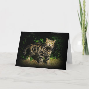 Tabby Cat Quote Card Karte