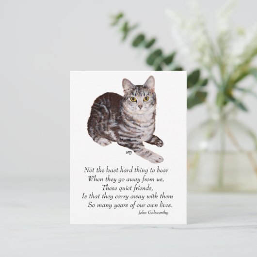 Tabby Cat Rainbow Bridge Postkarte (Stehend Vorderseite)