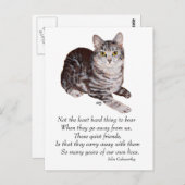 Tabby Cat Rainbow Bridge Postkarte (Vorne/Hinten)