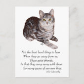 Tabby Cat Rainbow Bridge Postkarte (Vorderseite)