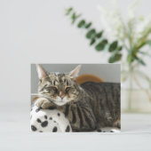 TABBY CAT RELAXING Postkarte (Stehend Vorderseite)