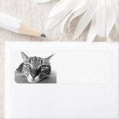 Tabby Cat, Rücksendeadressen-Aufkleber (Insitu)