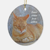 Tabby Cat ruhen in Dubrovnik Inspirational Keramik Ornament (Links)
