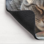 Tabby Cat Schlafen auf altes Häuschen Mousepad (Ecke)