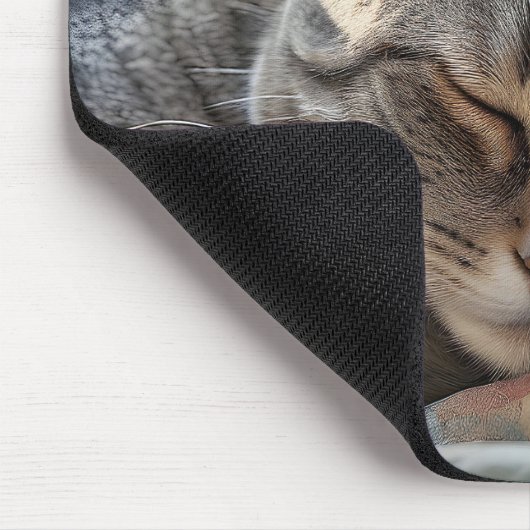 Tabby Cat Schlafen auf altes Häuschen Mousepad (Ecke)