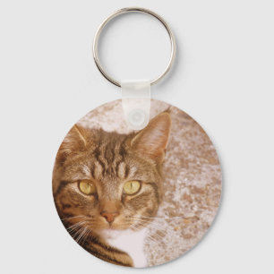 Tabby Cat Schlüsselanhänger