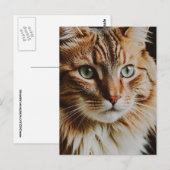 TABBY CAT SCHÖNE POSTKARTE (Vorne/Hinten)