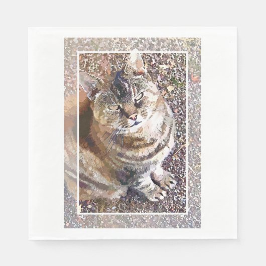 TABBY CAT SERVIETTE (Vorderseite)