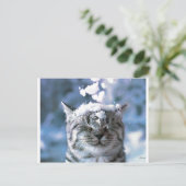 Tabby Cat Snow Splash Postkarte (Stehend Vorderseite)