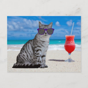 TABBY CAT-SONNENSCHIRME AN DEN STRANDPOSTKARTEN POSTKARTE
