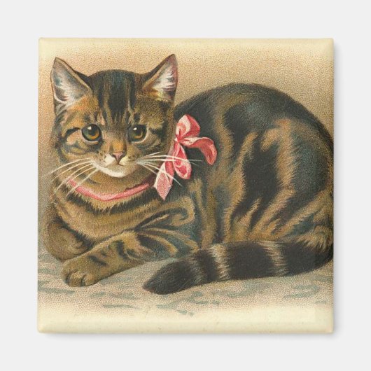 "Tabby Cat" Square Magnet (Vorne)