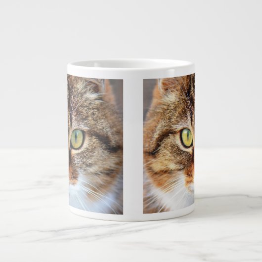 Tabby Cat Stare Nah-up-Gesicht Jumbo-Tasse (Vorderseite)