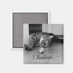 Tabby Cat Stretched Out, Toy Mouse, ich Endlich Magnet