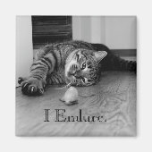 Tabby Cat Stretched Out, Toy Mouse, ich Endlich Magnet (Vorne)