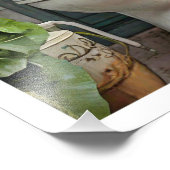 Tabby Cat Toilet Fotodruck (Ecke)