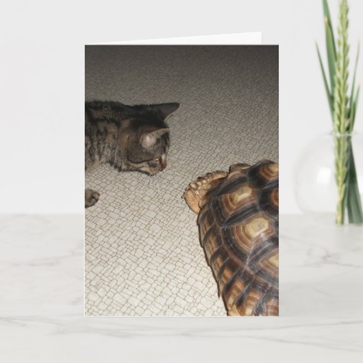 Tabby Cat und Sulcata Tortoise Karte (Vorderseite)