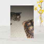 Tabby Cat und Sulcata Tortoise Karte (Gelbe Blume)