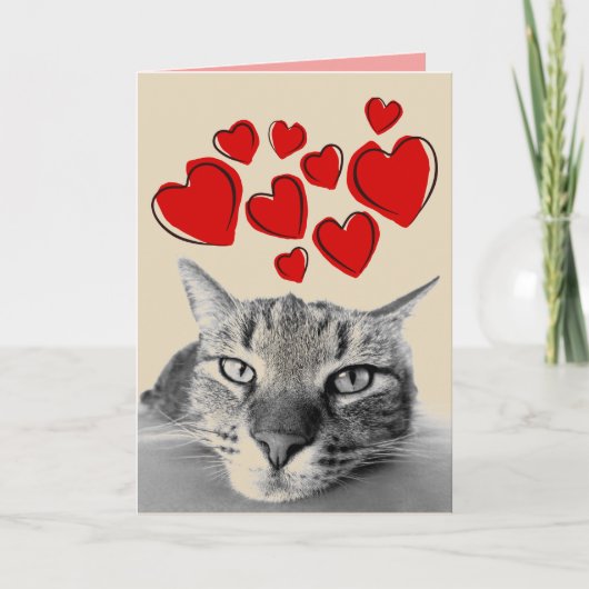 TABBY CAT VALENTINE'S DAY GREETING CARDS FEIERTAGSKARTE (Vorderseite)