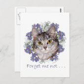 Tabby Cat Vergessen-Me-not Postkarte (Vorne/Hinten)