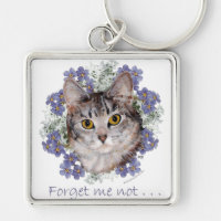Tabby Cat Vergessen-Me-not