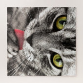 Tabby Cat Washing Face Puzzle (Horizontal)
